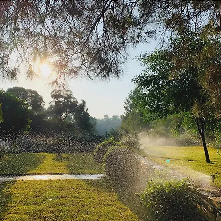 The Goathouse Larnaca