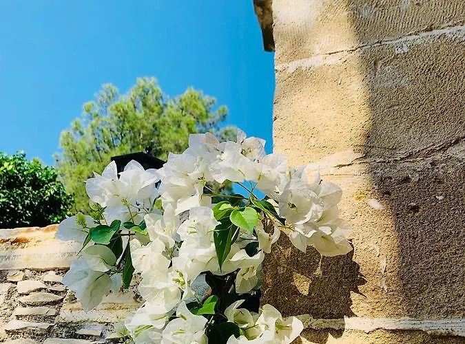 The Goathouse * 拉纳卡