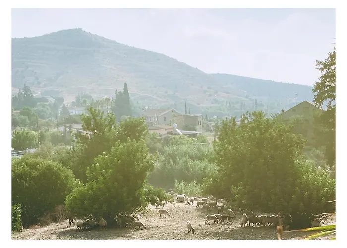 The Goathouse ラルナカ