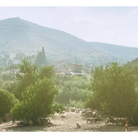 The Goathouse Larnaca